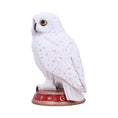 Bild in Galerie-Betrachter laden, Figur Ugle Wizard's Familiar (10cm) - Fatima.Dk