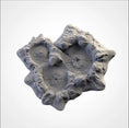 Load image into Gallery viewer, Crater Terrain Bundle