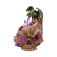 Load image into Gallery viewer, Kranie Crystalline Cranium (15.7cm) - Fatima.Dk