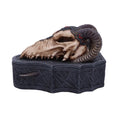 Load image into Gallery viewer, Skrin Dragon Skull Box (17.7cm) - Fatima.Dk