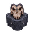 Load image into Gallery viewer, Skrin Dragon Skull Box (17.7cm) - Fatima.Dk
