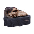 Load image into Gallery viewer, Skrin Dragon Skull Box (17.7cm) - Fatima.Dk