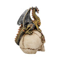 Load image into Gallery viewer, Figur Dragon's Grasp Kranie Drage (18.5cm) - Fatima.Dk