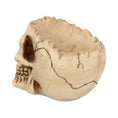 Bild in Galerie-Betrachter laden, Figur Lobo Skål Kranie (14.5cm) - Fatima.Dk