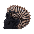 Load image into Gallery viewer, Figur Spine Head Skull Kranie (18.5cm) - Fatima.Dk