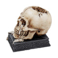 Bild in Galerie-Betrachter laden, Figur Tears of Time Kranie (10cm) - Fatima.Dk