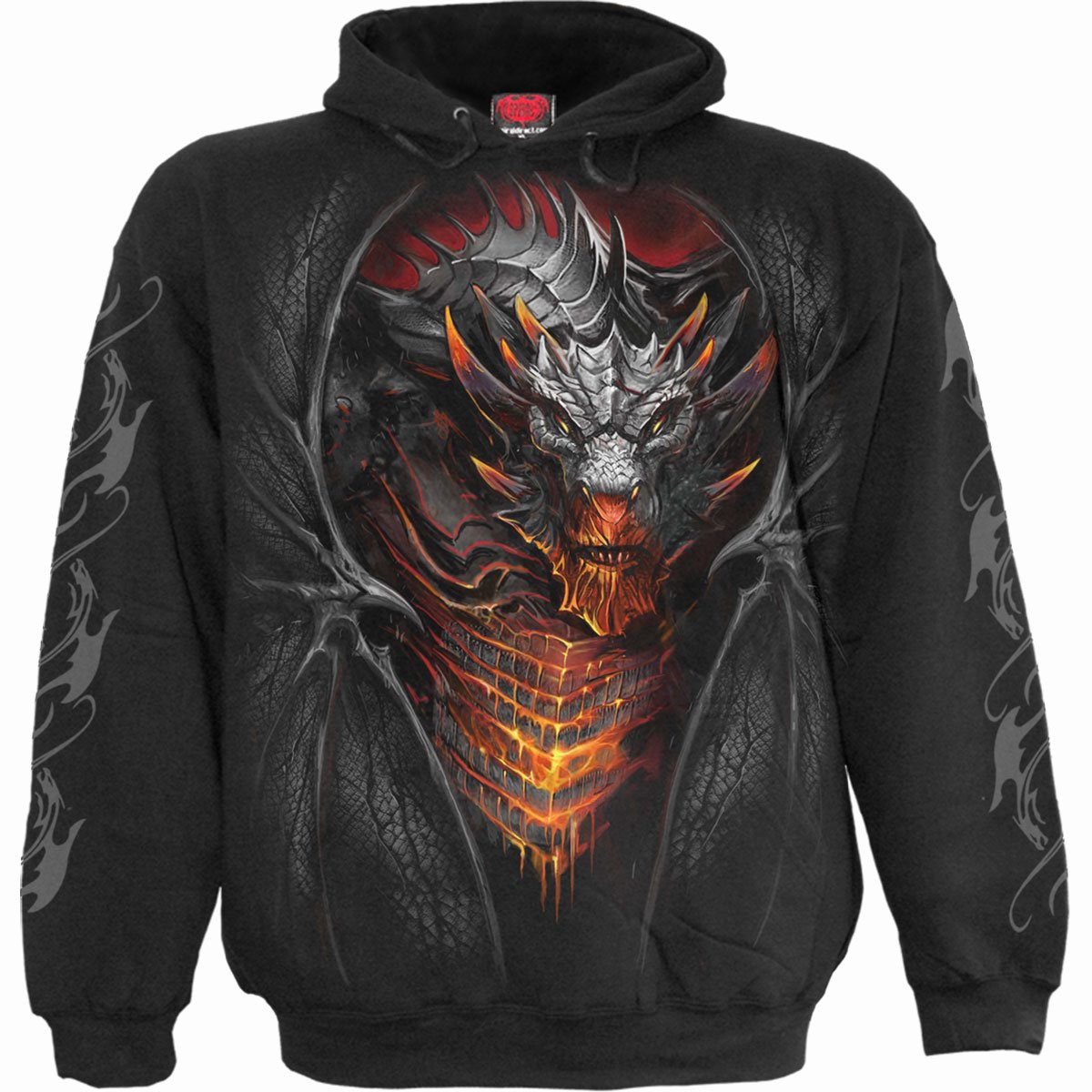 Kapuzenpullover Spiral Draconis