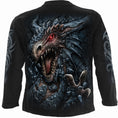 Load image into Gallery viewer, Long-sleeved T-shirt Spiral Dragon's Lair
