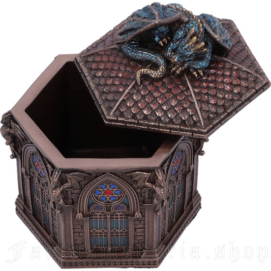 Figure Dragon Citadel Protector Box (12cm)
