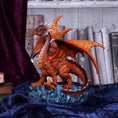 Load image into Gallery viewer, Drage Ember Guard (18.5cm) - Fatima.Dk

