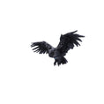 Bild in Galerie-Betrachter laden, Figur Dark Feather (55cm) - Fatima.Dk
