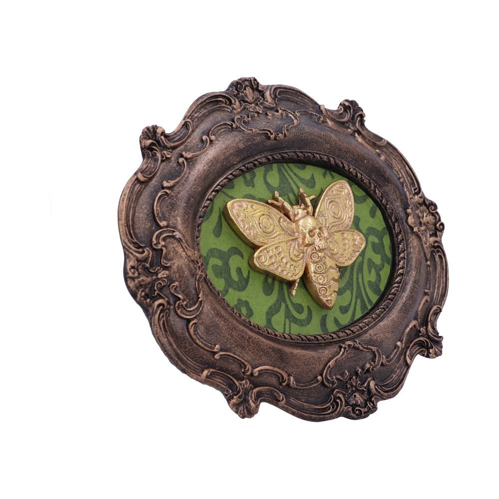 Figur Moth Macabre (22.3cm) - Fatima.Dk