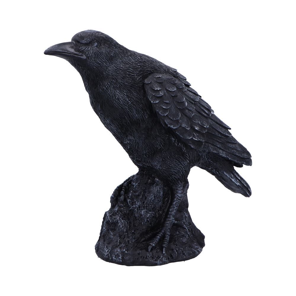 Figur Raven Messenger (25cm) - Fatima.Dk