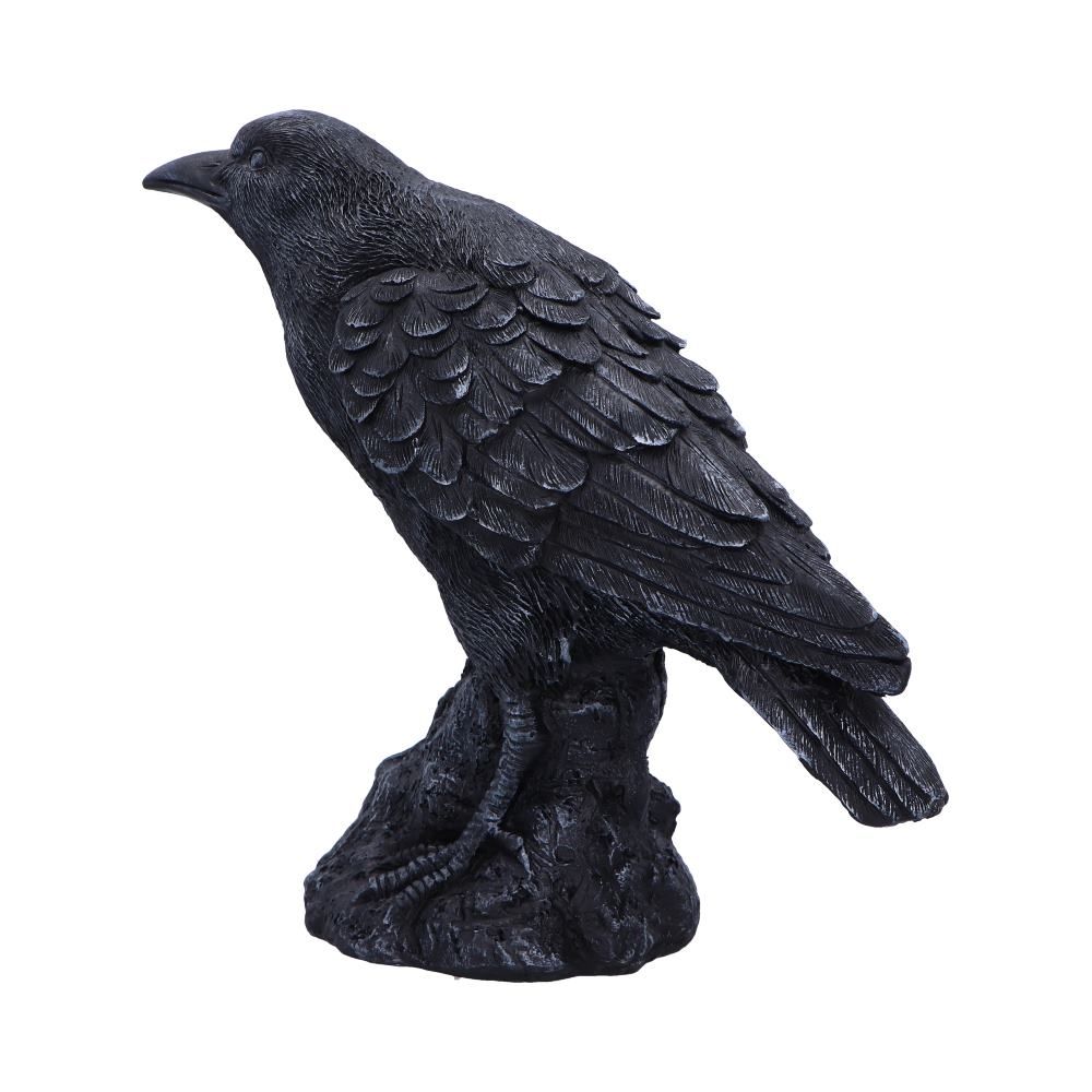 Figur Raven Messenger (25cm) - Fatima.Dk