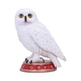 Bild in Galerie-Betrachter laden, Figur Ugle Wizard's Familiar (10cm) - Fatima.Dk
