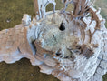 Bild in Galerie-Betrachter laden, Ruine auf Hügelkuppe – STL-Dateienset für 28/32 mm
