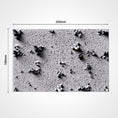 Load image into Gallery viewer, Crystal Glass Base Toppers – Txarli Factory
