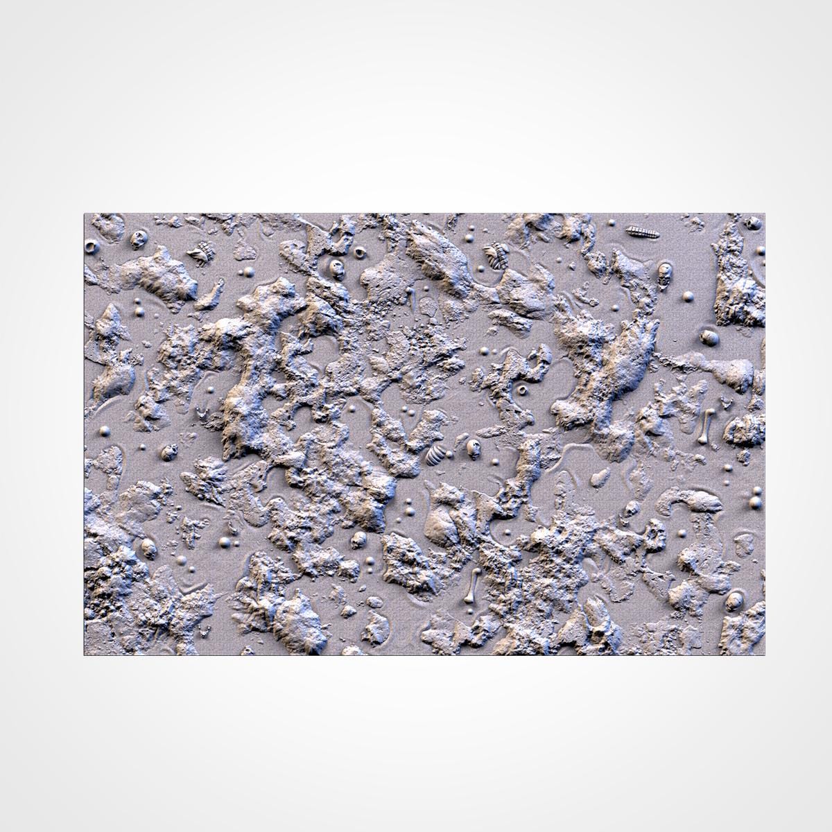 Swamp Scenic Base Toppers – Txarli Factory