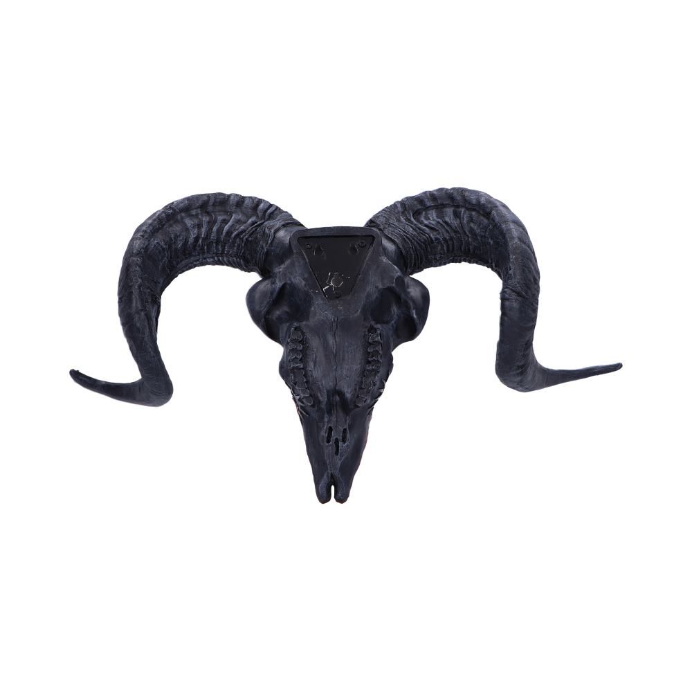 Kranie Baphomet's Veneration (53cm) - Fatima.Dk