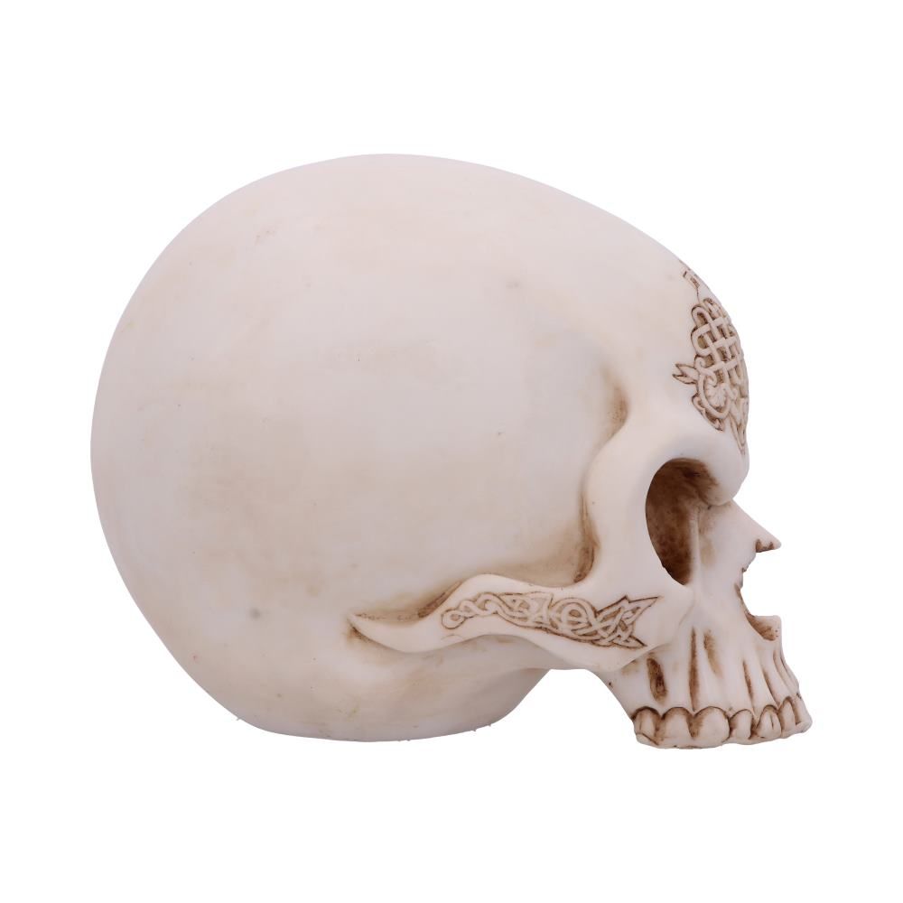 Kranie Celtic Cave (15cm) - Fatima.Dk