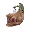 Load image into Gallery viewer, Kranie Crystalline Cranium (15.7cm) - Fatima.Dk
