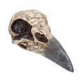 Bild in Galerie-Betrachter laden, Kranie Edgar's Raven Skull (21cm) - Fatima.Dk
