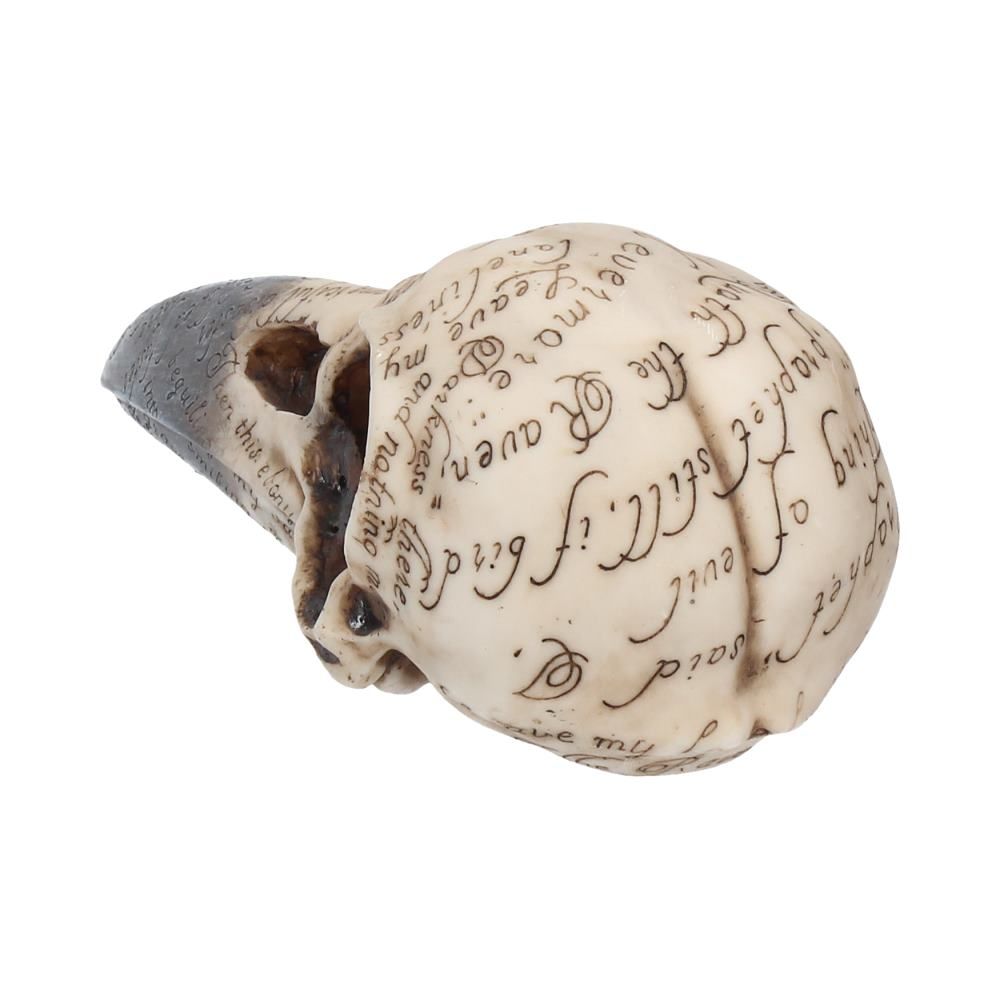 Kranie Edgar's Raven Skull (21cm) - Fatima.Dk