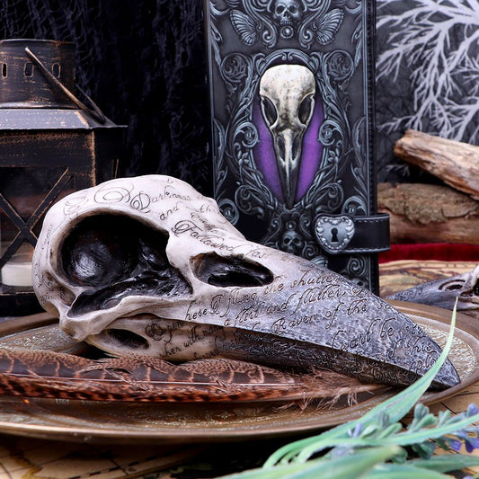Kranie Edgar's Raven Skull (21cm) - Fatima.Dk