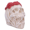 Load image into Gallery viewer, Kranie The Veil Large (14.7cm) - Fatima.Dk
