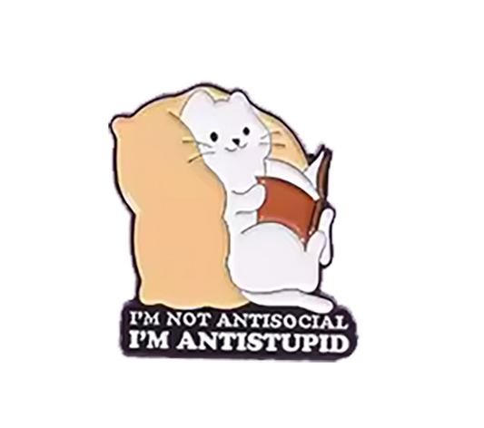 Anti-Stupidity Pin