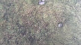 Load and play video in Gallery viewer, Video
