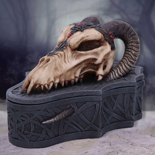 Skrin Dragon Skull Box (17.7cm) - Fatima.Dk