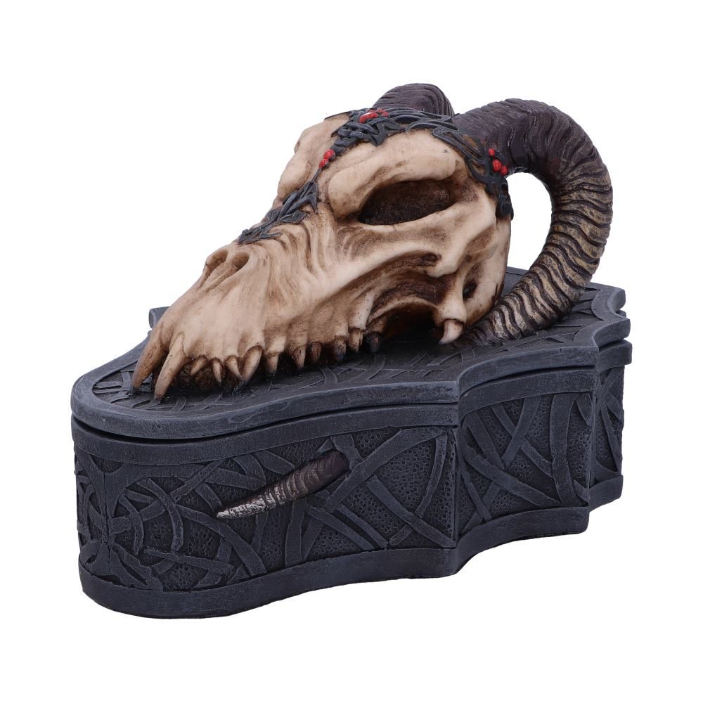 Skrin Dragon Skull Box (17.7cm) - Fatima.Dk