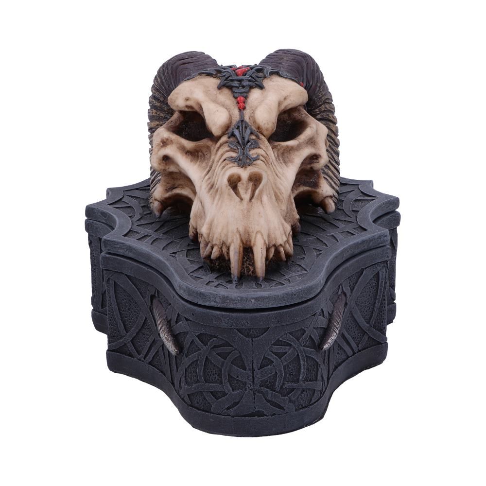 Skrin Dragon Skull Box (17.7cm) - Fatima.Dk