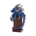 Load image into Gallery viewer, Figure Dragon A Tale of Dragons (22cm)
