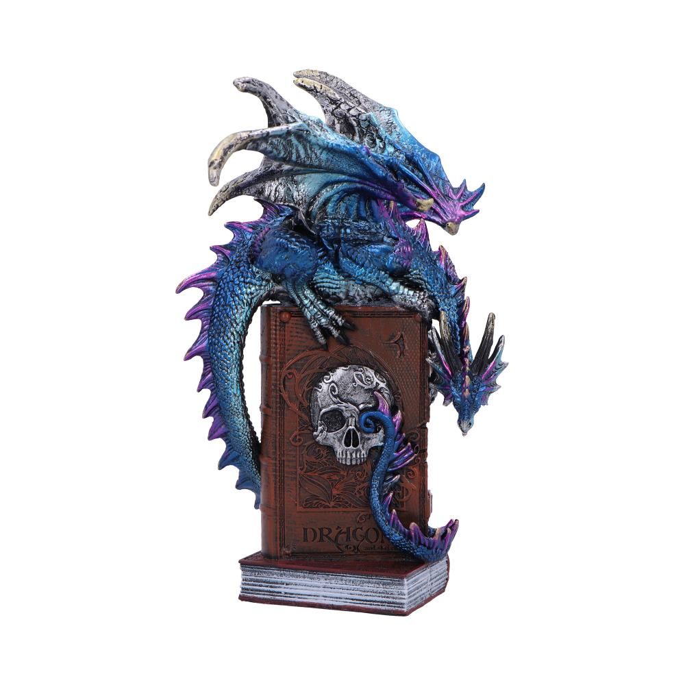 Figure Dragon A Tale of Dragons (22cm)