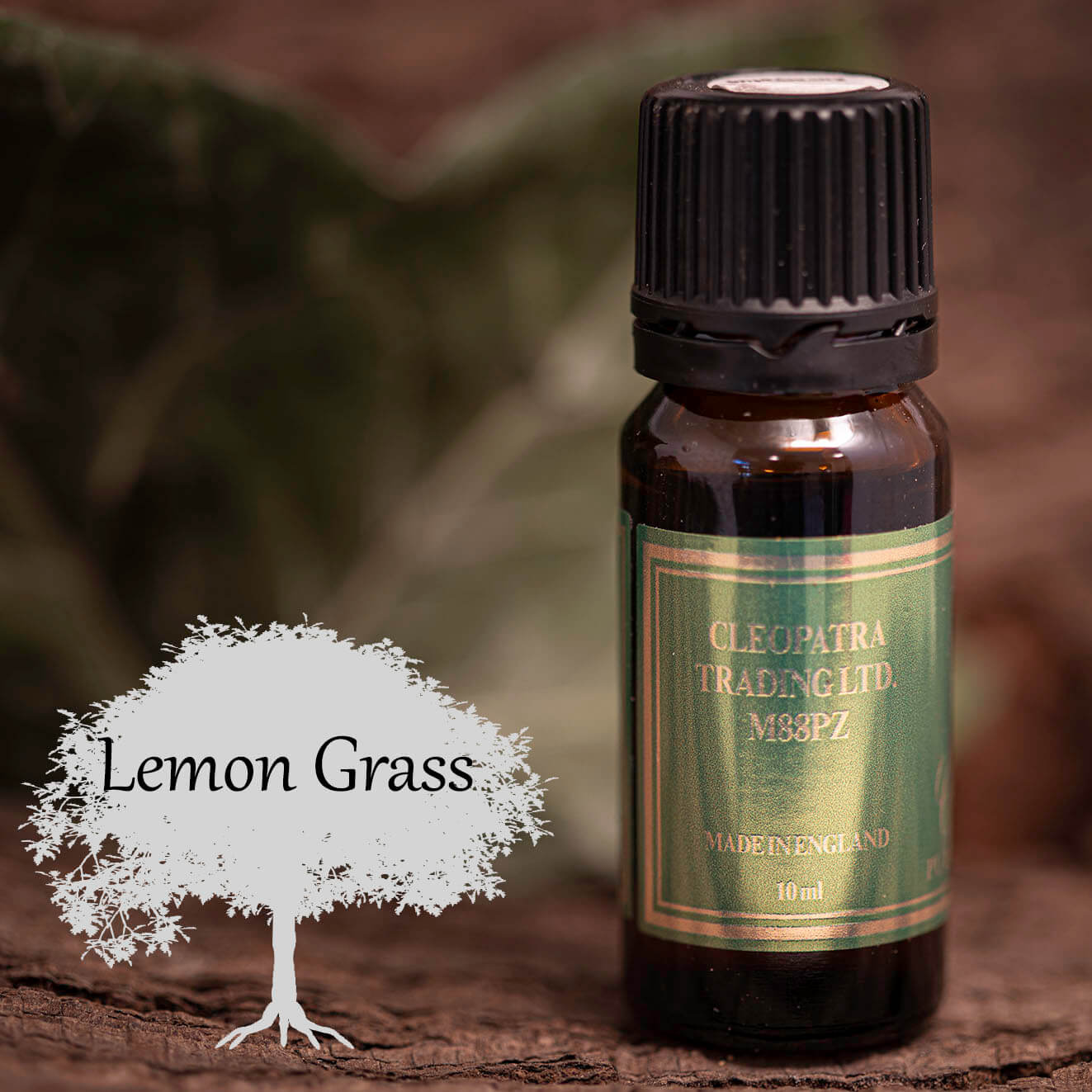 Æterisk Olie Lemon Grass (10ml) - Fatima.Dk