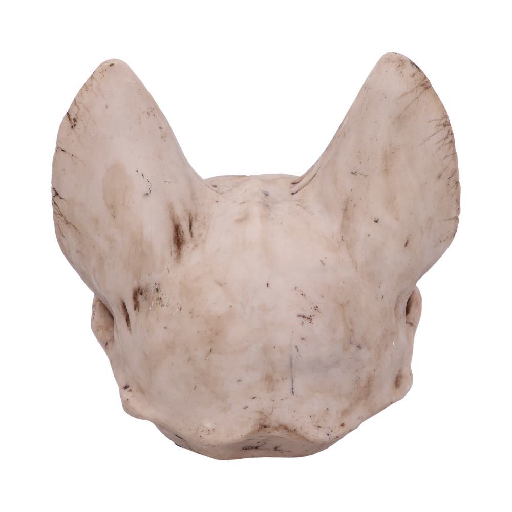 Figur Bastet's Secret Kranie (15cm) - Fatima.Dk