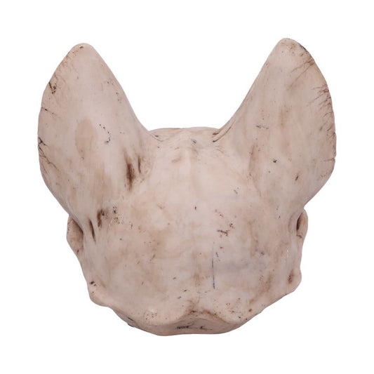 Figur Bastet's Secret Kranie (15cm) - Fatima.Dk