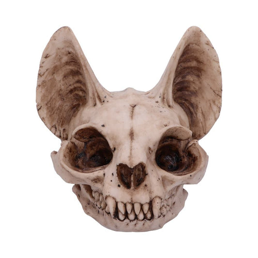 Figur Bastet's Secret Kranie (15cm) - Fatima.Dk