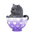 Load image into Gallery viewer, Figur Cutiecat (10,5cm) - Fatima.Dk
