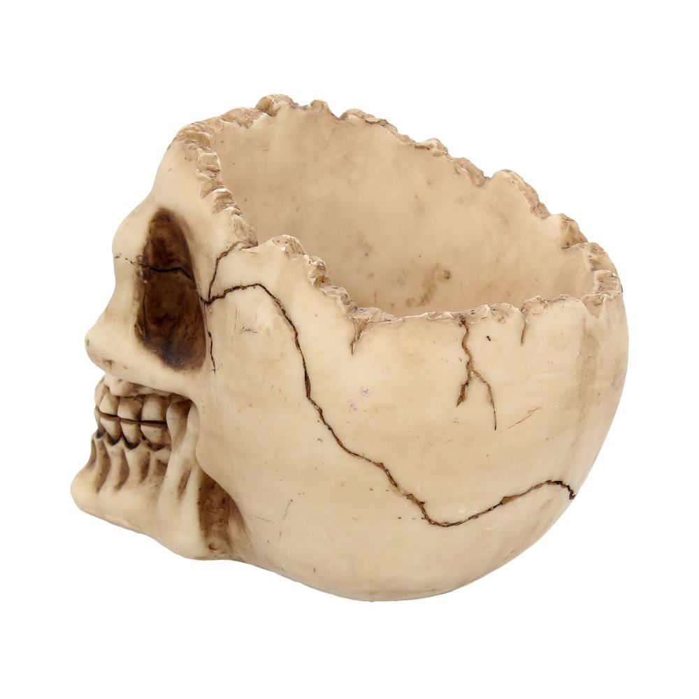 Figur Lobo Skål Kranie (14.5cm) - Fatima.Dk