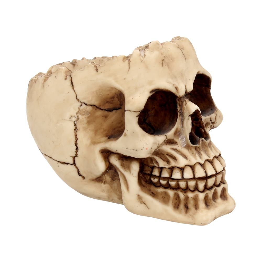 Figur Lobo Skål Kranie (14.5cm) - Fatima.Dk