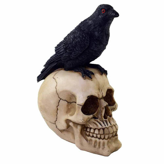 Kranie / Skull med Ravn - Fatima.Dk