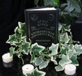 Load image into Gallery viewer, Notesbog Journal Black and White Spirit Board (17cm) - Fatima.Dk
